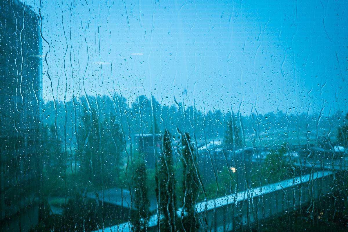 1551945177942525.jpg timg (4).jpg